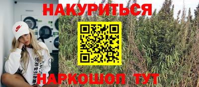 гашик Краснознаменск