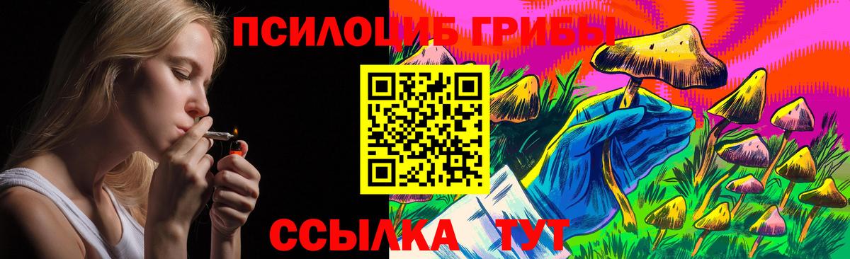 Галлюциногенные грибы Cubensis Фролово